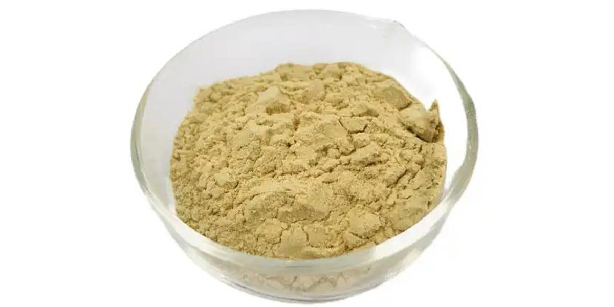 Animal Feed Supplement Manufacturers in Saharanpur Buy animal feed